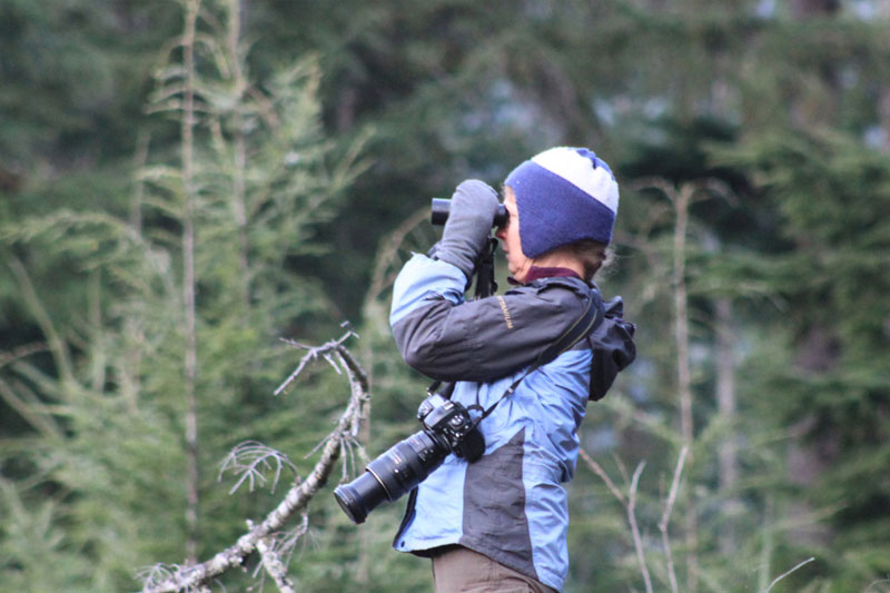 bird-watching-ucluelet